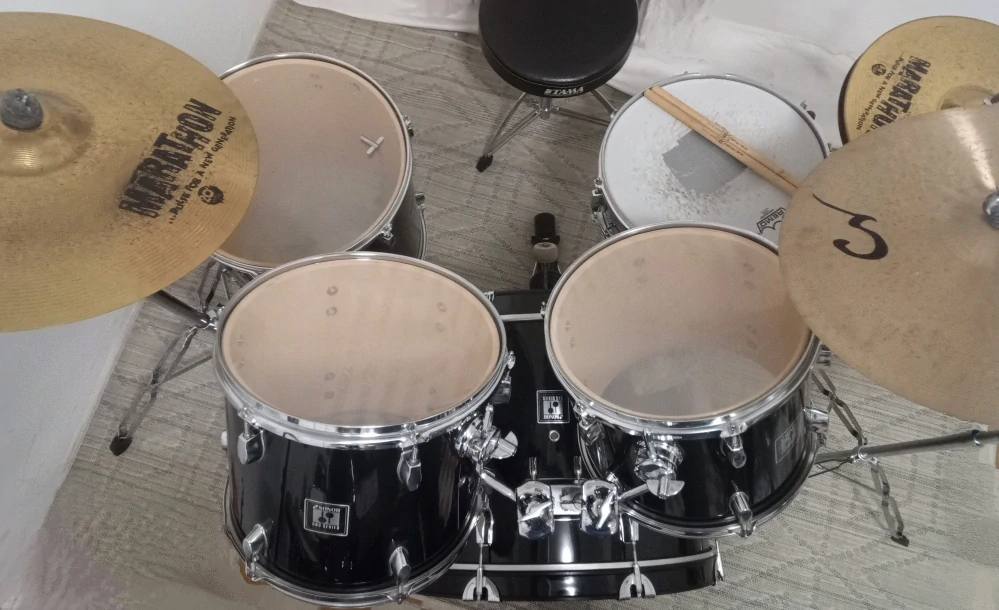 SONOR Force 503 Series (Prodáno)