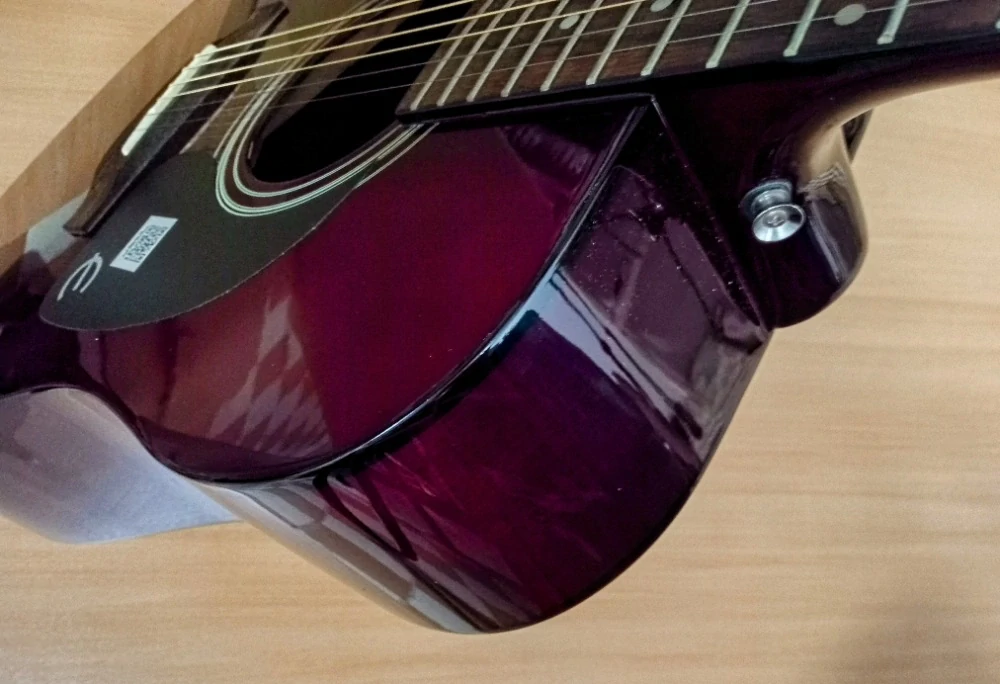 Epiphone PRO 1 WR (Prodáno)