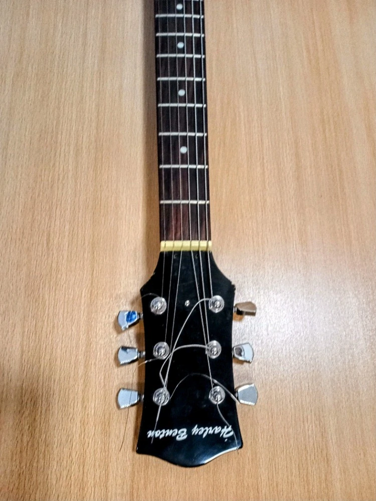 Harley Benton Standard typ LP (Prodáno)